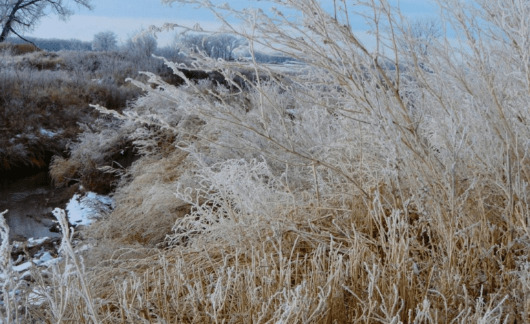 SWEPCO Encourages Customers To: Be Prepared For Severe Winter Weather
