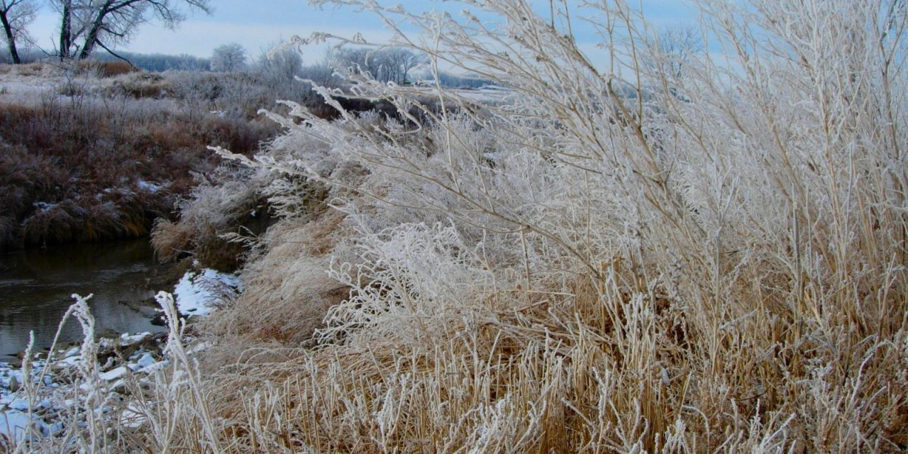 SWEPCO Encourages Customers To: Be Prepared For Severe Winter Weather