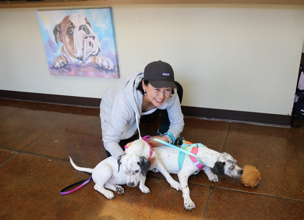 ๐๐๐๐ ๐ฉ๐ฎ๐ฉ๐ฉ๐ข๐๐ฌ ๐๐๐จ๐ฉ๐ญ๐๐ ๐๐ซ๐จ๐ฆ ๐๐ฆ๐ข๐ญ๐ก ๐๐จ๐ฎ๐ง๐ญ๐ฒ ๐๐ง๐ข๐ฆ๐๐ฅ ๐๐ก๐๐ฅ๐ญ๐๐ซ