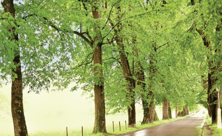 State Parks: Discover their seasonal magic