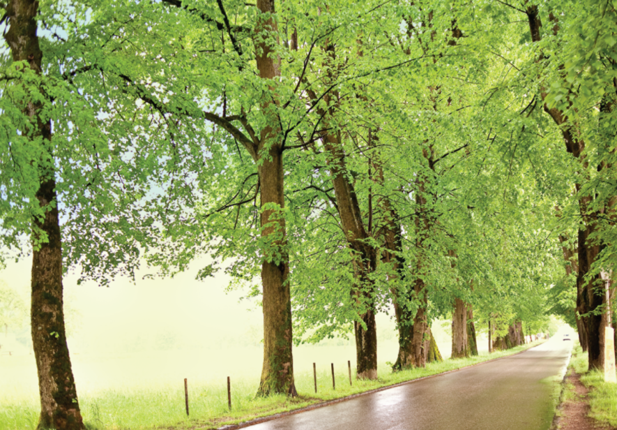 State Parks: Discover their seasonal magic