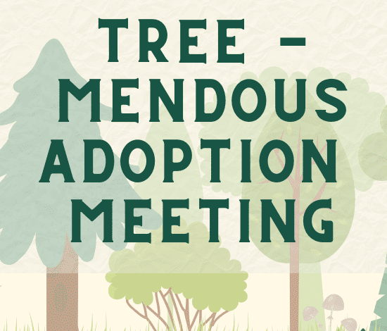 City to Host Tree-Mendous Adoption Meeting to Kick Off 5,000-Tree Initiative
